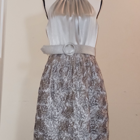 Kristen Davis sleeveless Silver Dress Size 12 - Picture 2 of 13